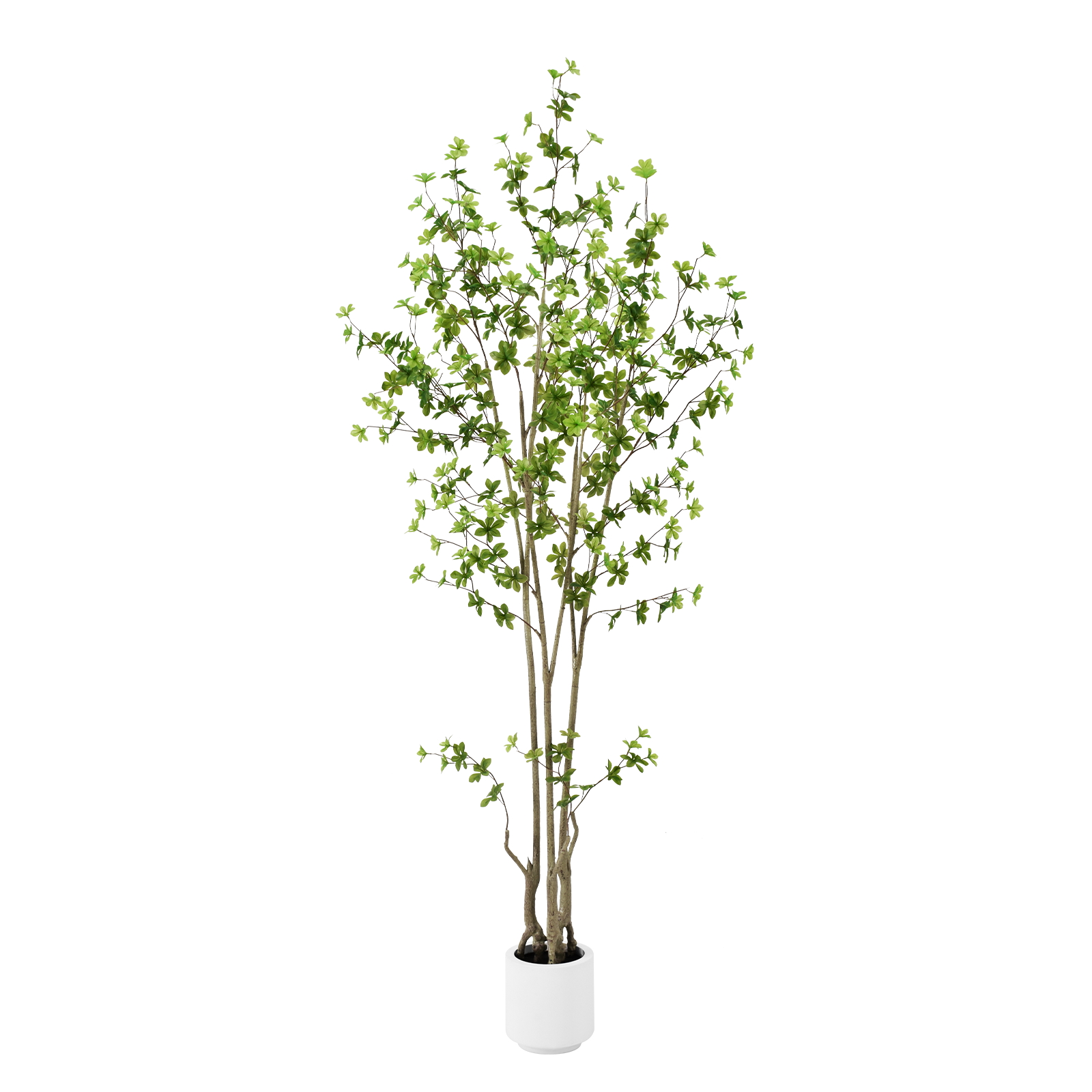 6ft Tall Artificial Enkianthus Tree