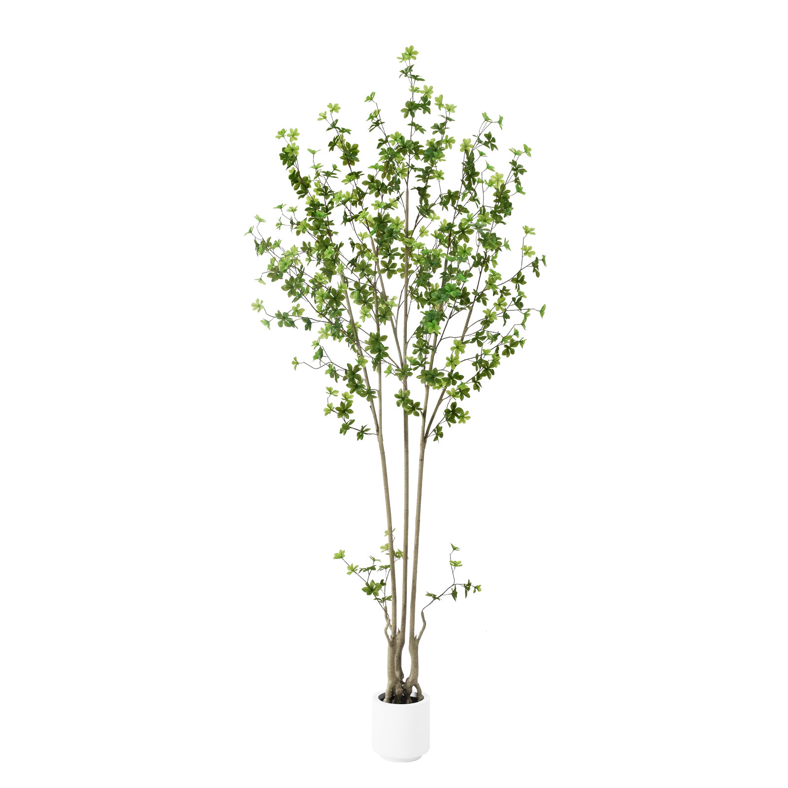 6ft Tall Artificial Enkianthus Tree