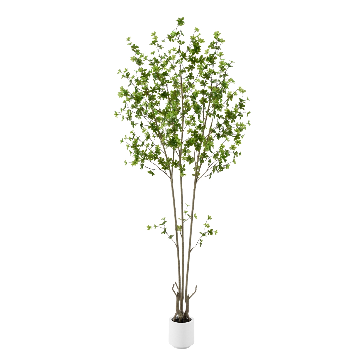 6ft Tall Artificial Enkianthus Tree