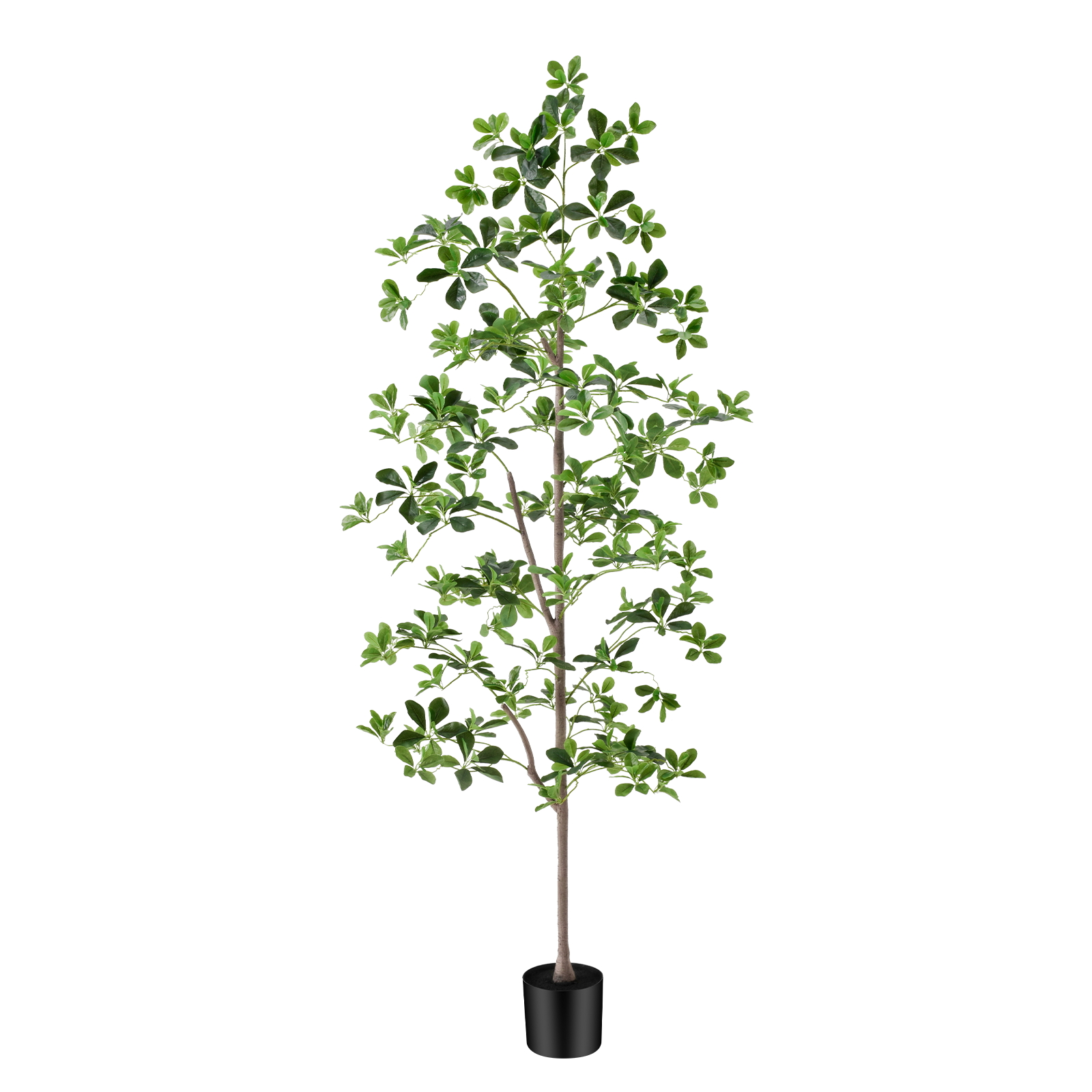 6ft Tall Artificial Black Olive Tree with 945 Lifelike Leaves