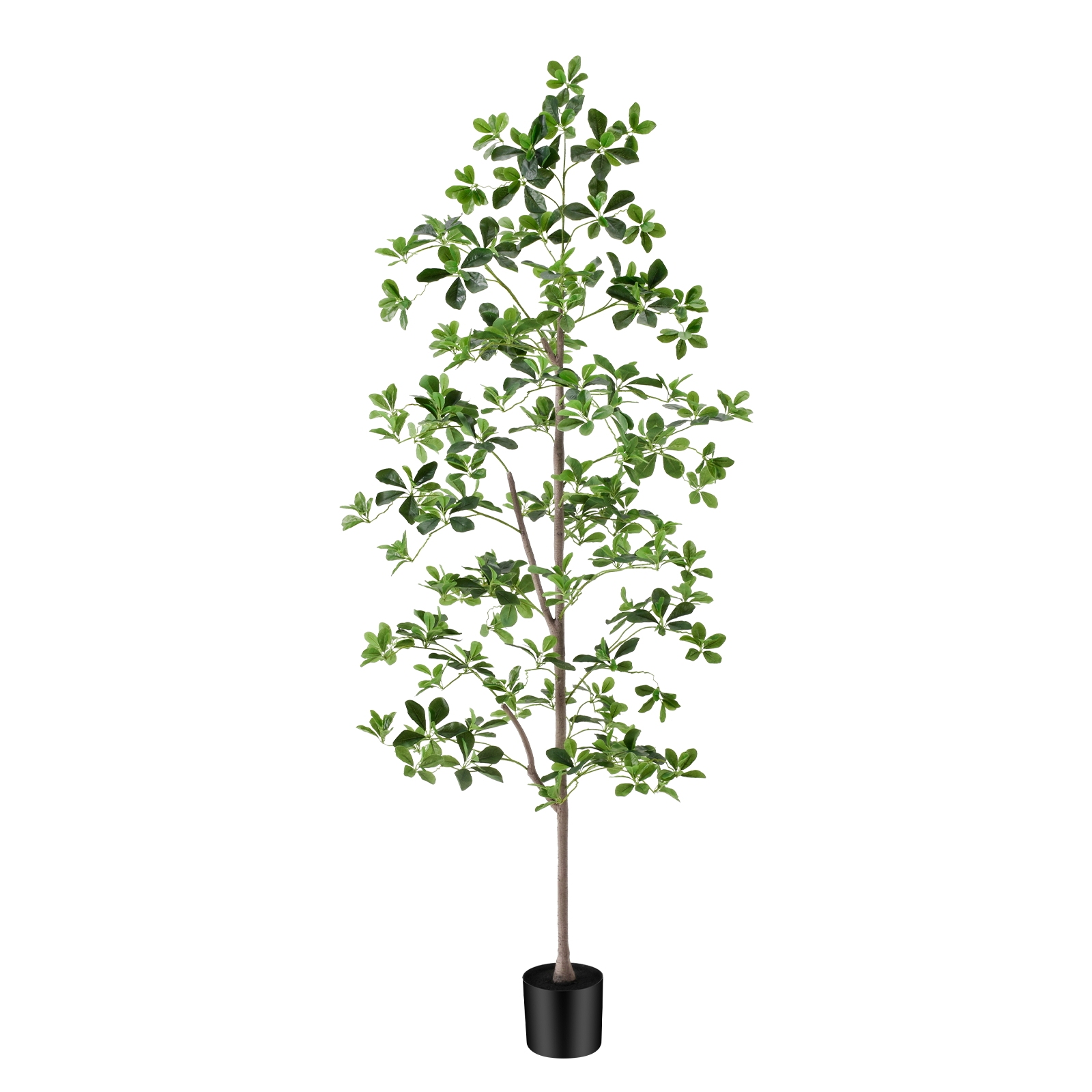6ft Tall Artificial Black Olive Tree with 945 Lifelike Leaves