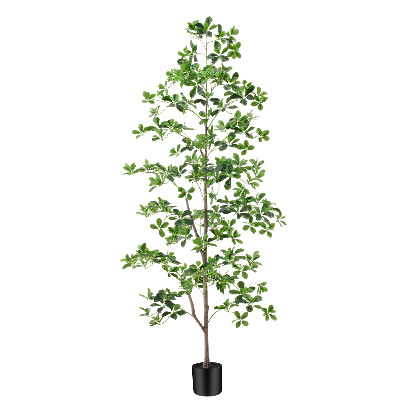 6ft Tall Artificial Black Olive Tree with 945 Lifelike Leaves