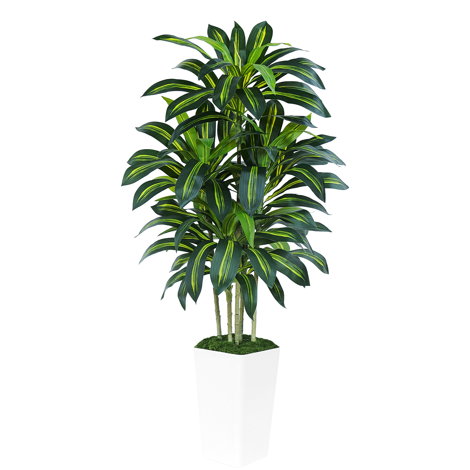 Keeplush Artificial Dracaena Tree - High-Density Foliage Fake Plant with Tall Planter (5ft,6ft,7ft optional White & Black) 