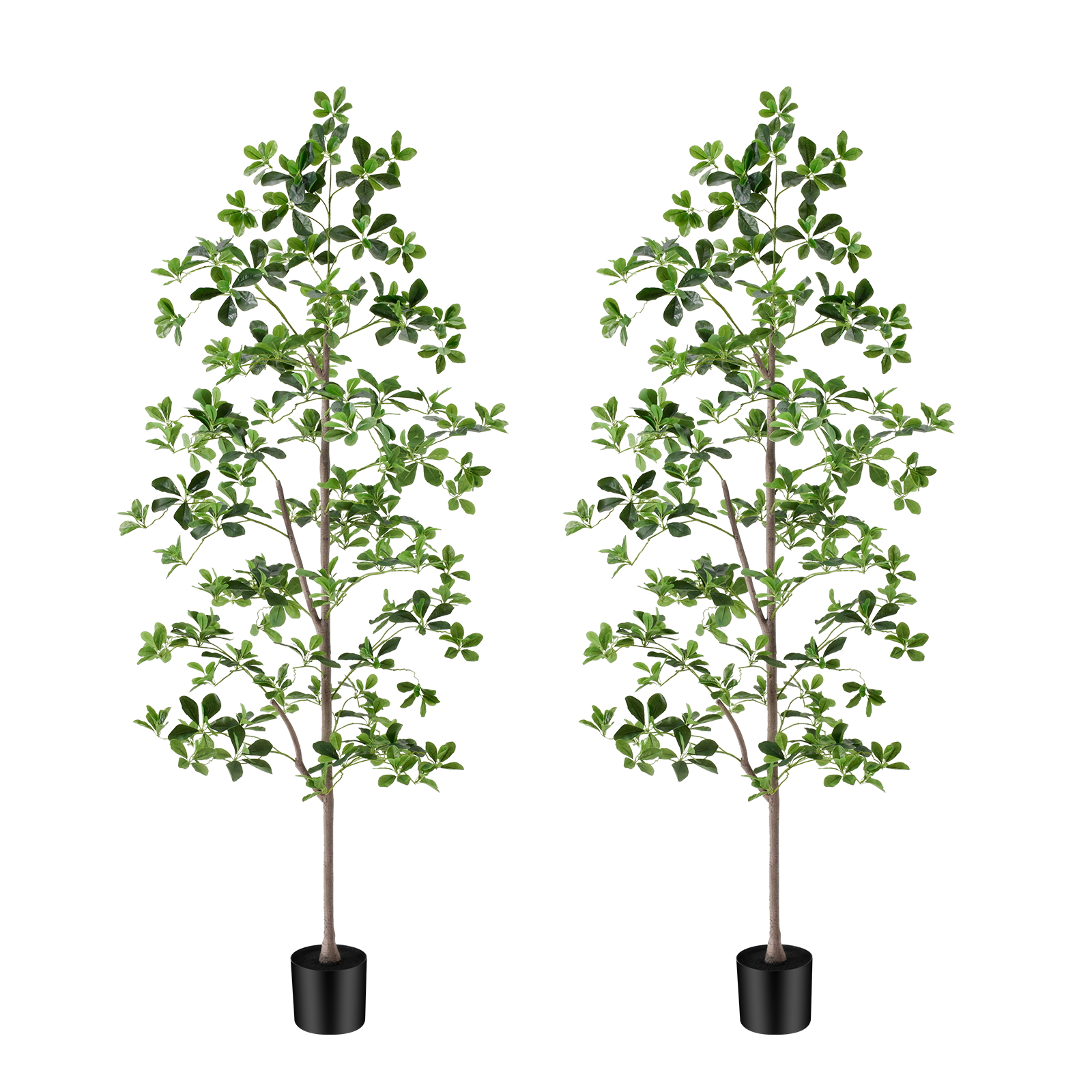 6ft Tall Artificial Black Olive Tree with 945 Lifelike Leaves