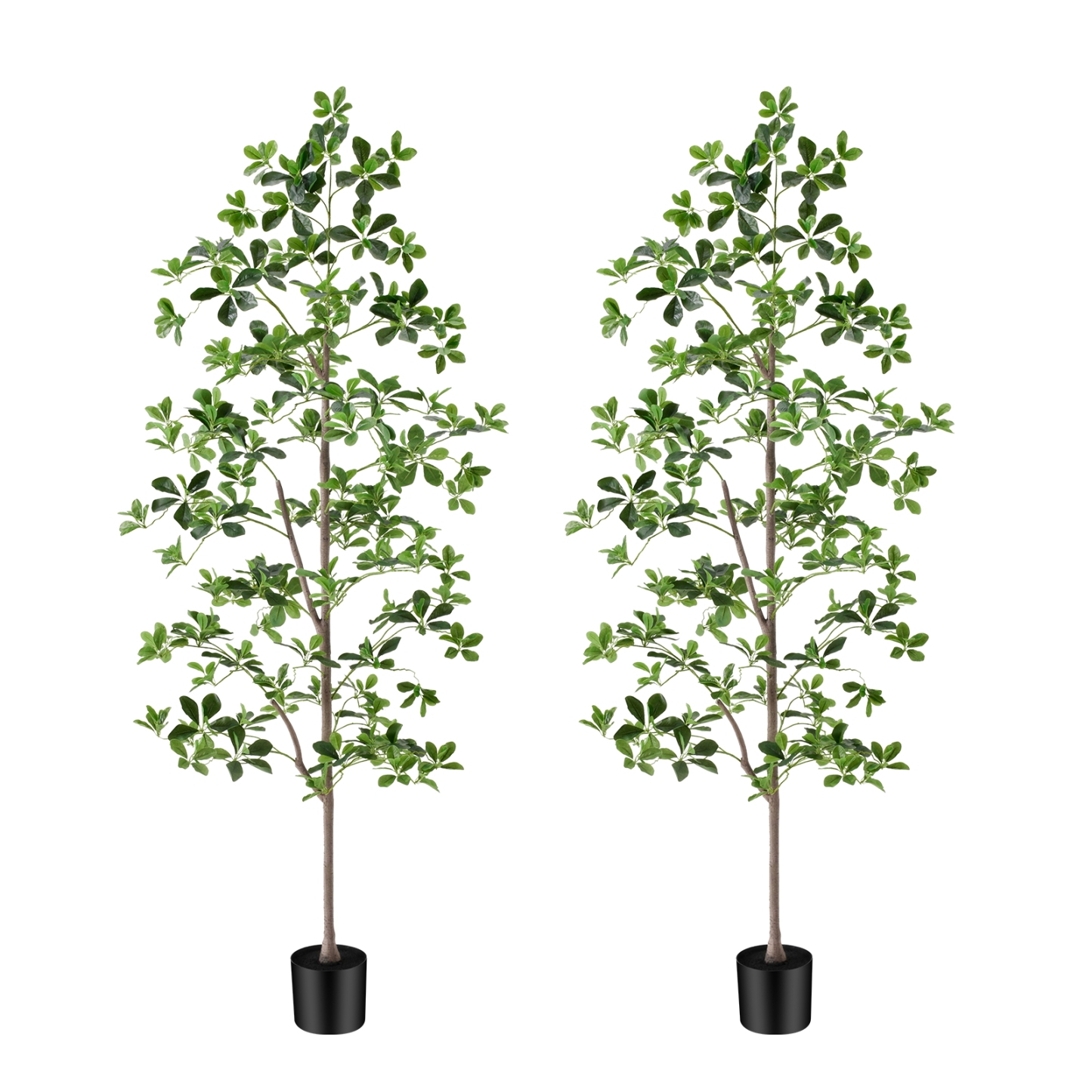 6ft Tall Artificial Black Olive Tree with 945 Lifelike Leaves