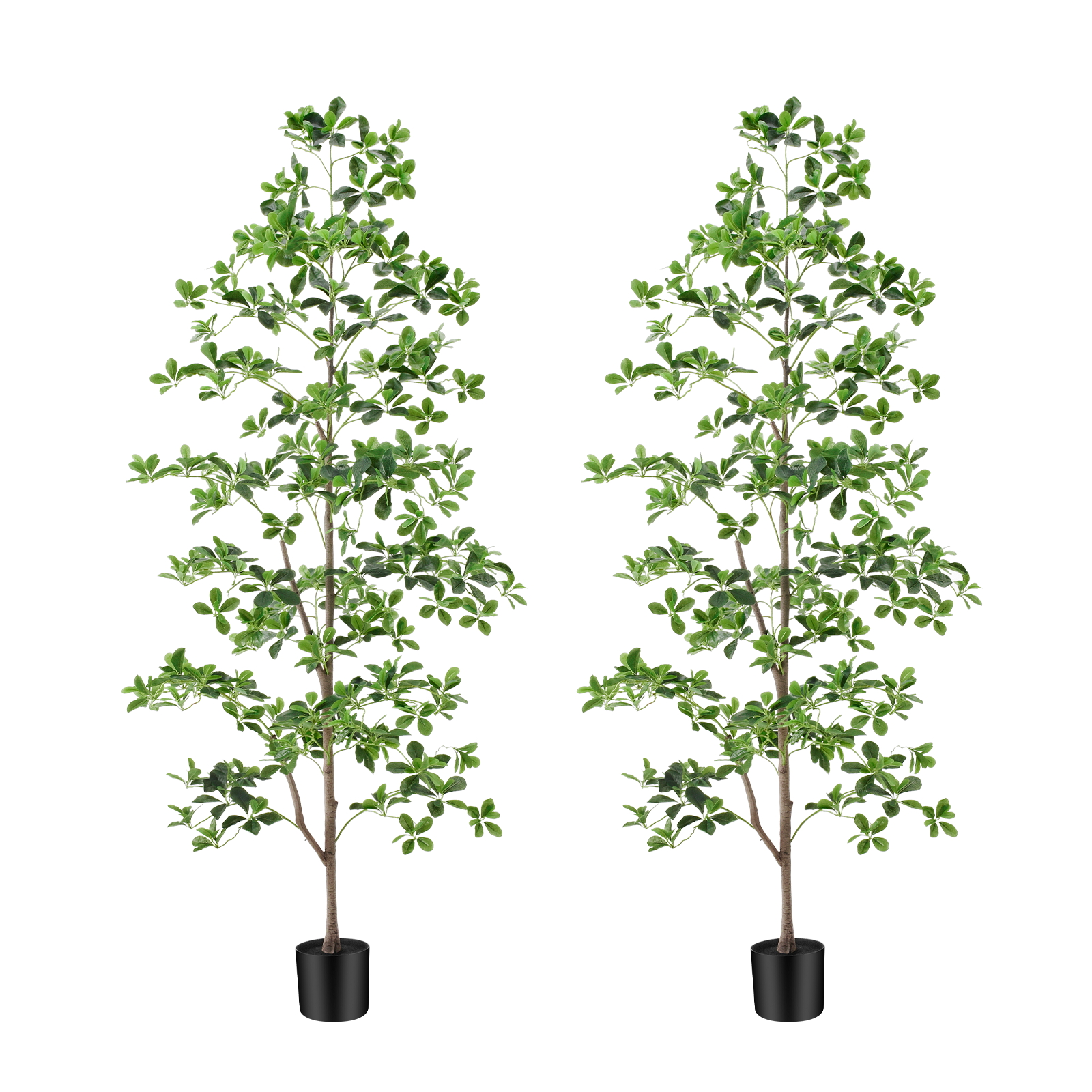 6ft Tall Artificial Black Olive Tree with 945 Lifelike Leaves