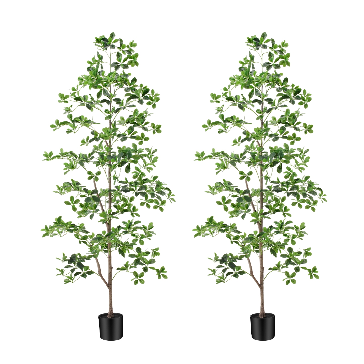 6ft Tall Artificial Black Olive Tree with 945 Lifelike Leaves