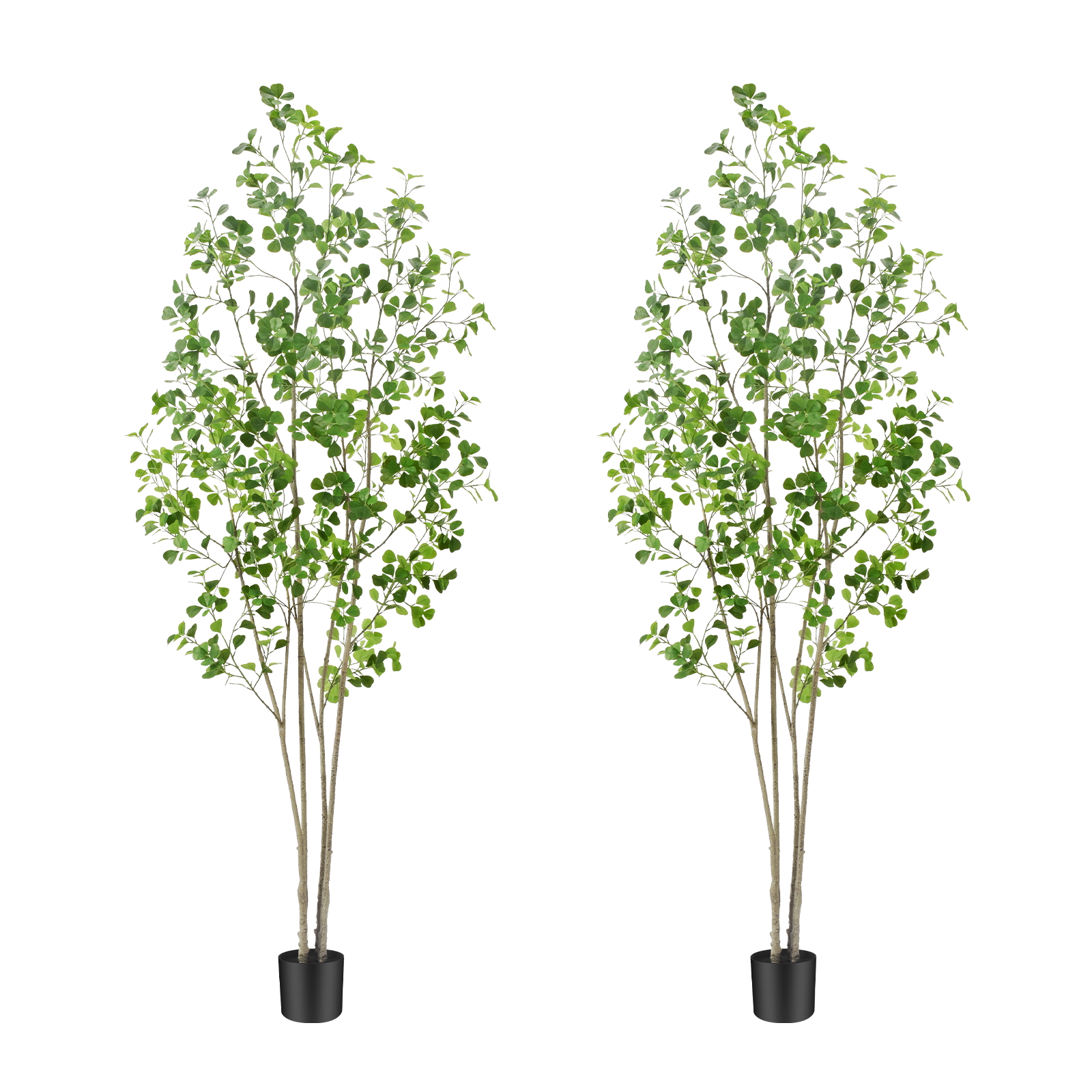 6ft Tall Artificial Ficus Tree(Umbellata), Large Fake Ficus Tree with Lifelike Leaves