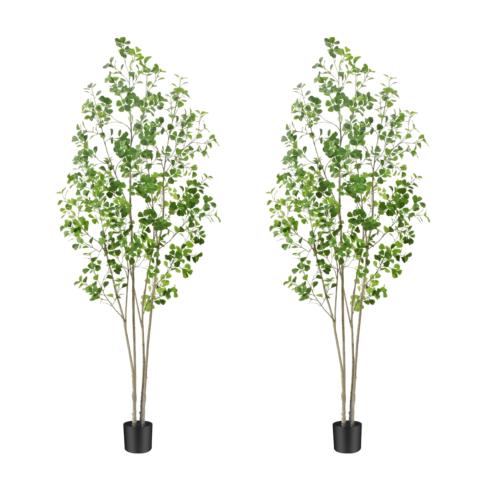 6ft Tall Artificial Ficus Tree(Umbellata), Large Fake Ficus Tree with Lifelike Leaves