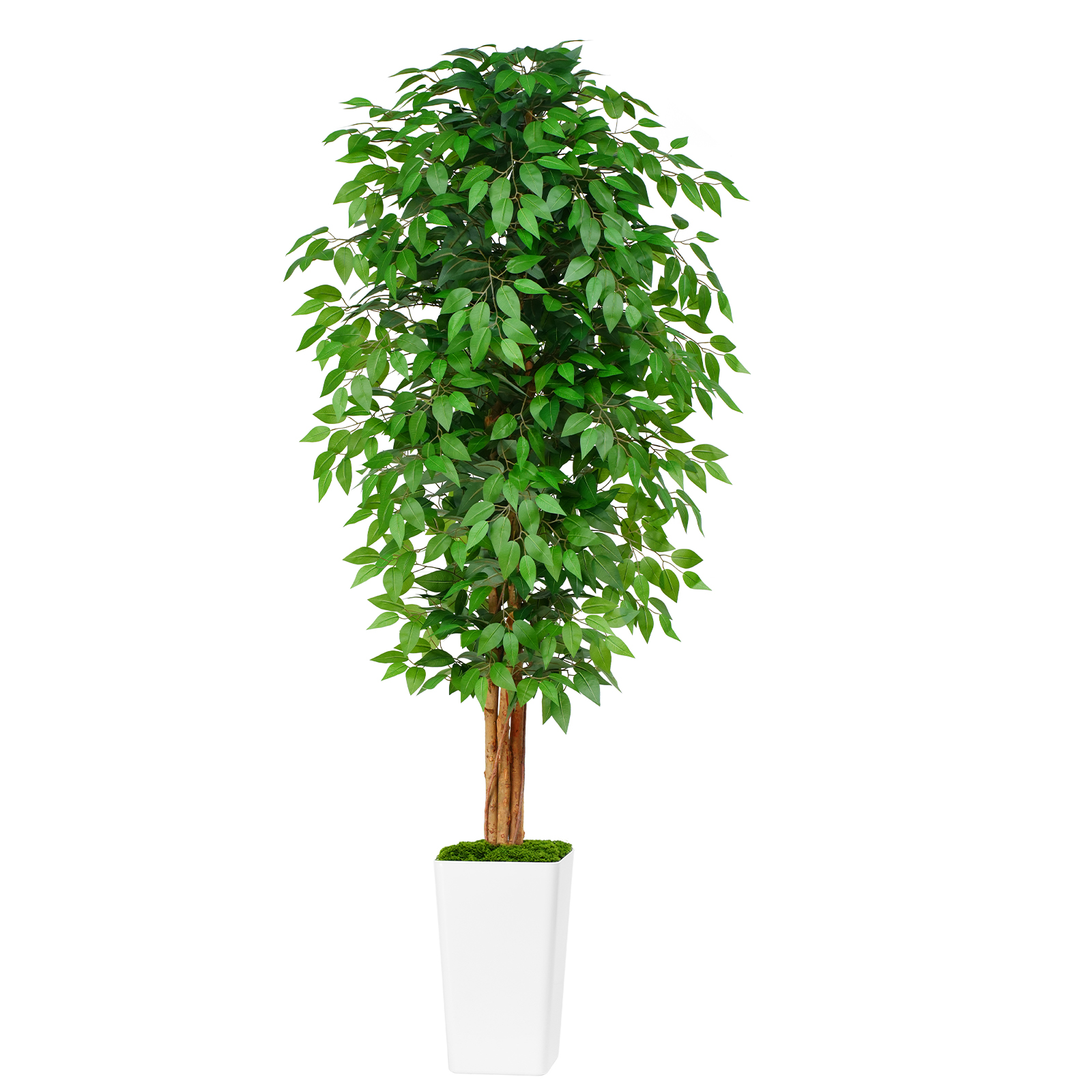 Keeplush Ficus Artificial Tree,Tall Lush Faux TreeKeeplush Artificial  Faux Banana Leaf Tree with Tall Planter (4ft,5ft,6ft,7ft optional White & Black) 