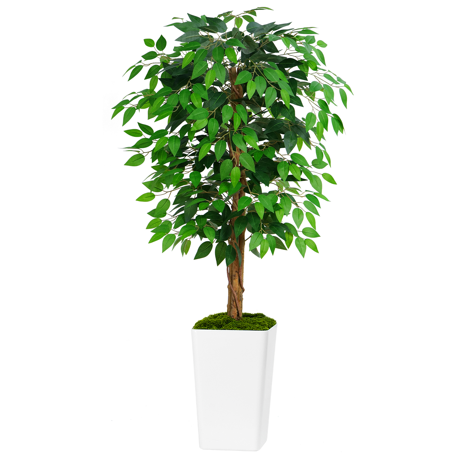 Keeplush Ficus Artificial Tree,Tall Lush Faux TreeKeeplush Artificial  Faux Banana Leaf Tree with Tall Planter (4ft,5ft,6ft,7ft optional White & Black) 