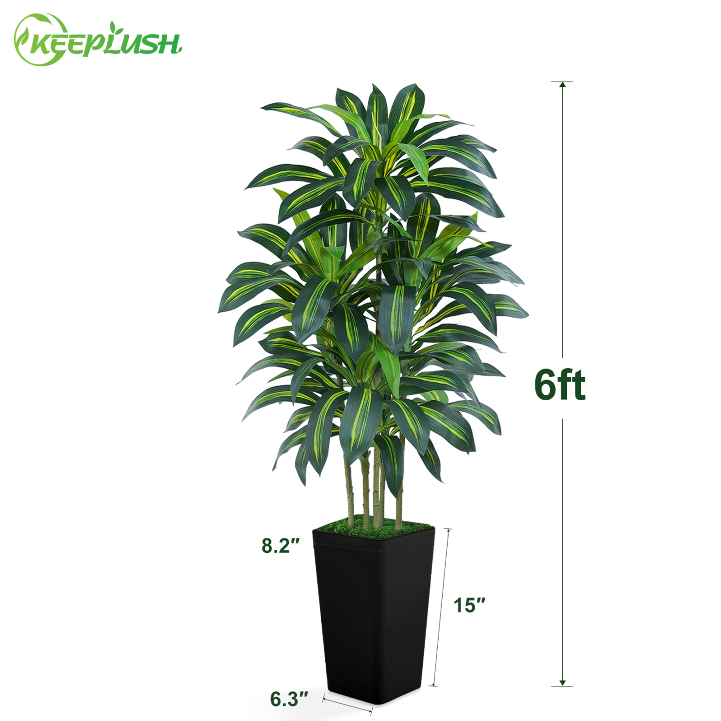 Keeplush Artificial Dracaena Tree - High-Density Foliage Fake Plant with Tall Planter (5ft,6ft,7ft optional White & Black) 