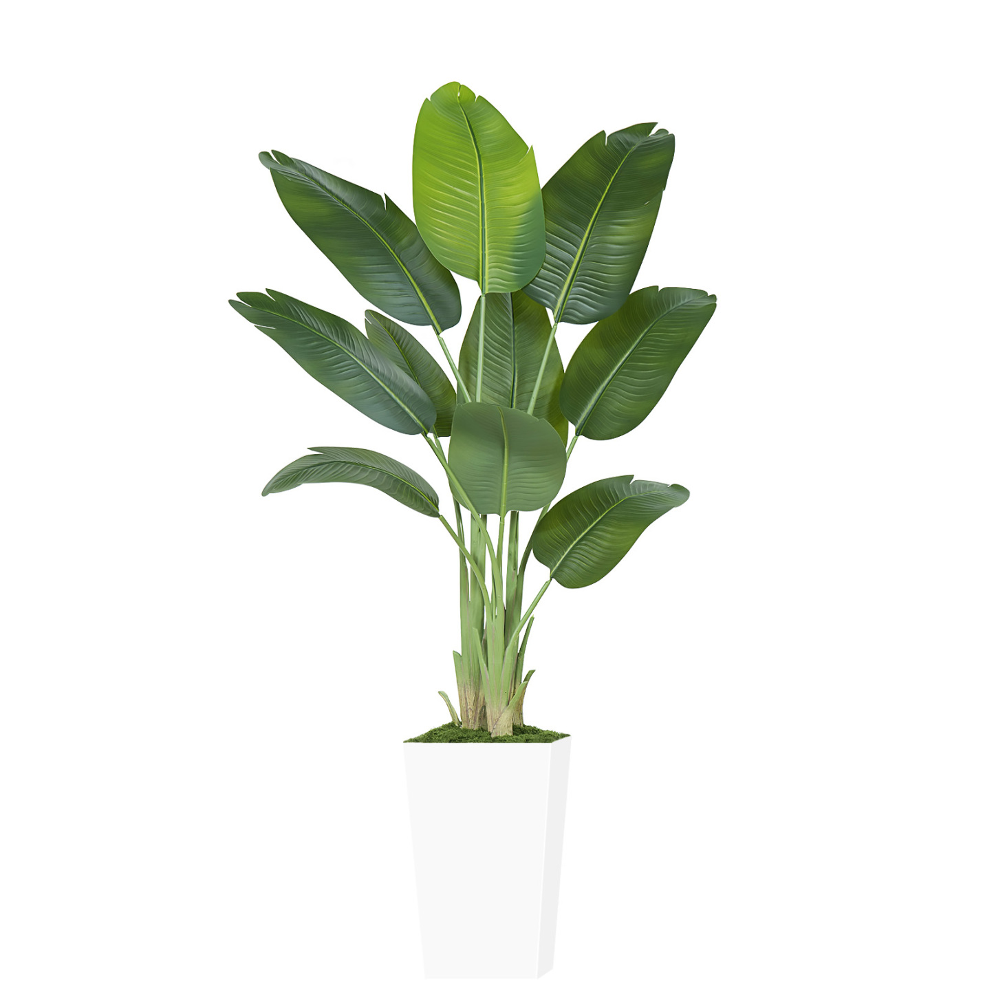 Keeplush Artificial  Faux Banana Leaf Tree with Tall Planter (5ft,6ft,7ft optional) 