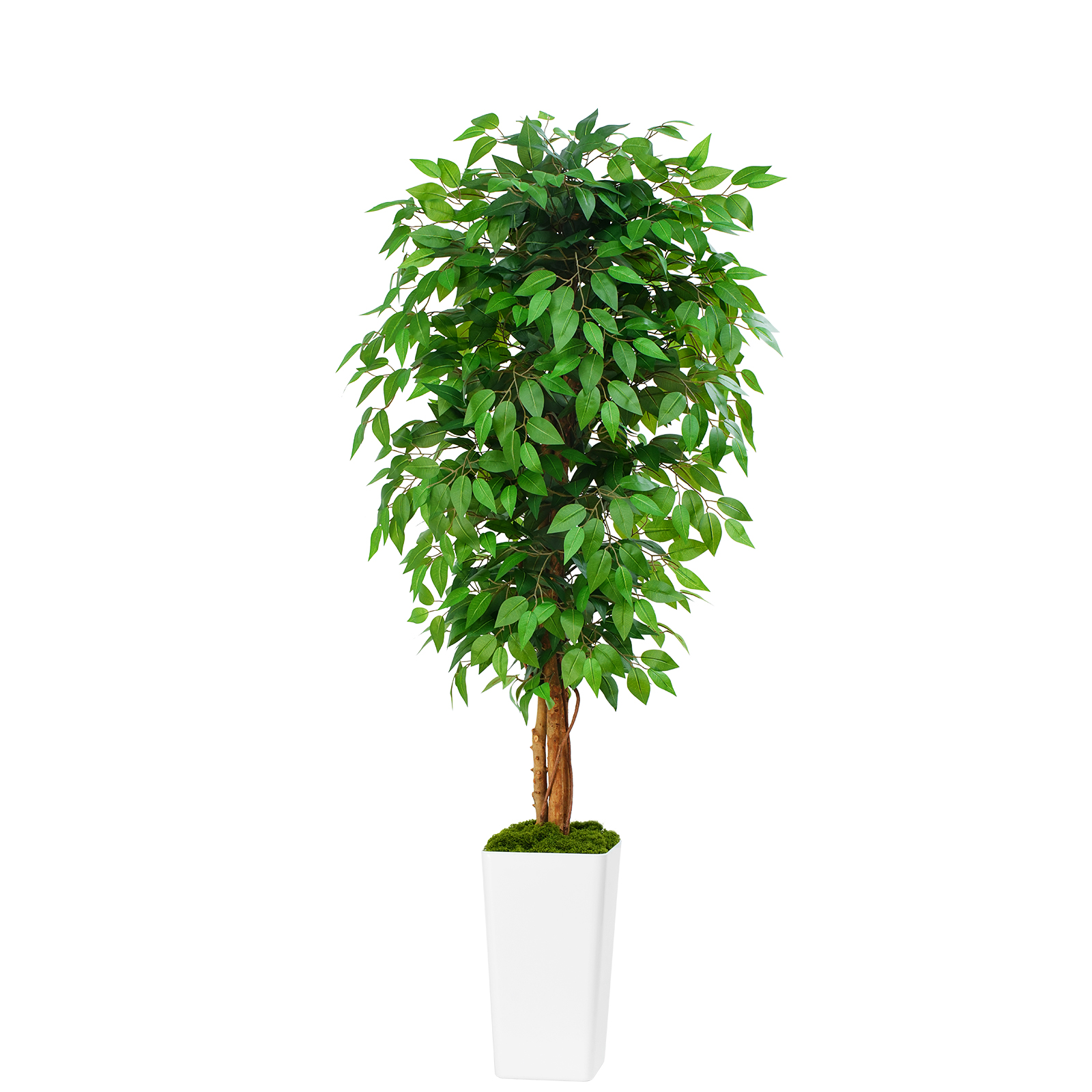 Keeplush Ficus Artificial Tree,Tall Lush Faux TreeKeeplush Artificial  Faux Banana Leaf Tree with Tall Planter (4ft,5ft,6ft,7ft optional White & Black) 