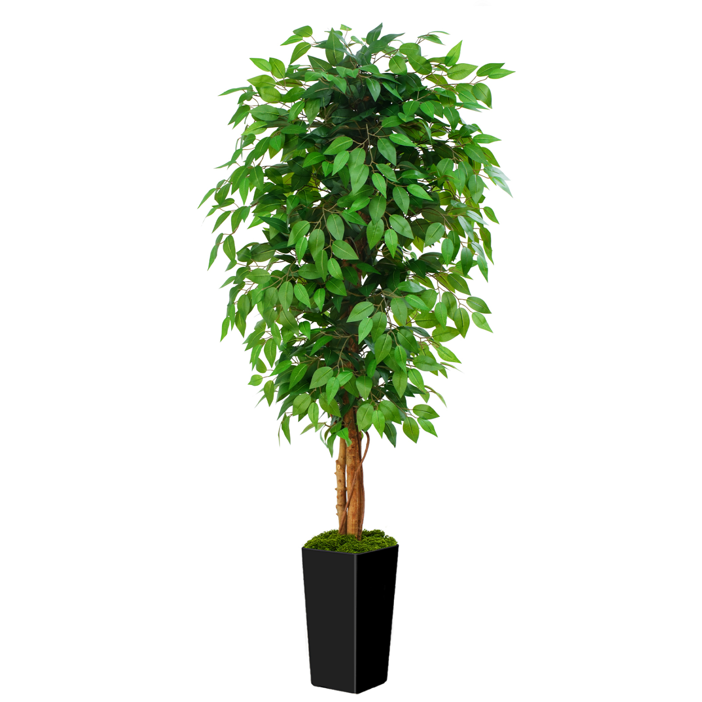 Keeplush Ficus Artificial Tree,Tall Lush Faux TreeKeeplush Artificial  Faux Banana Leaf Tree with Tall Planter (4ft,5ft,6ft,7ft optional White & Black) 