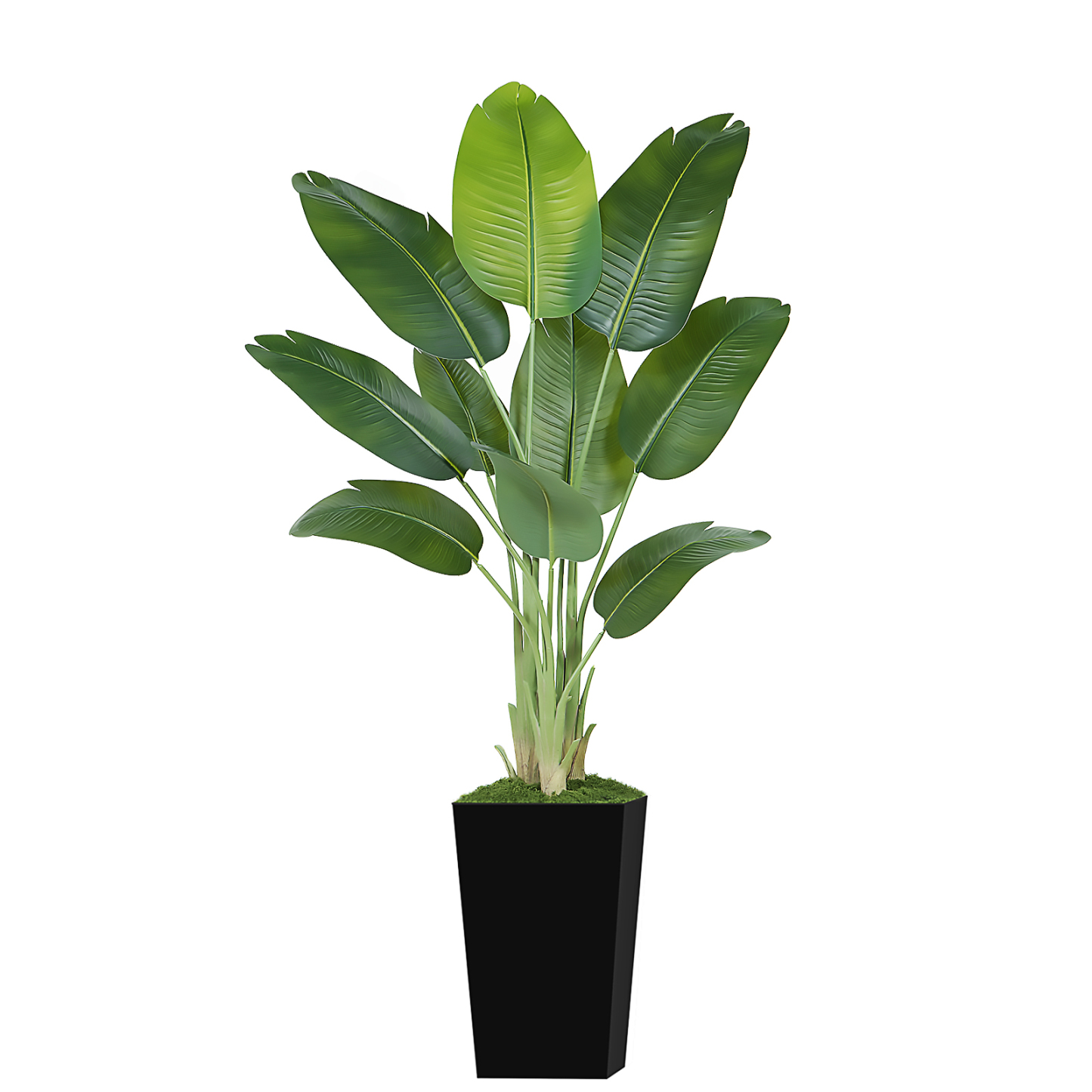 Keeplush Artificial  Faux Banana Leaf Tree with Tall Planter (5ft,6ft,7ft optional) 