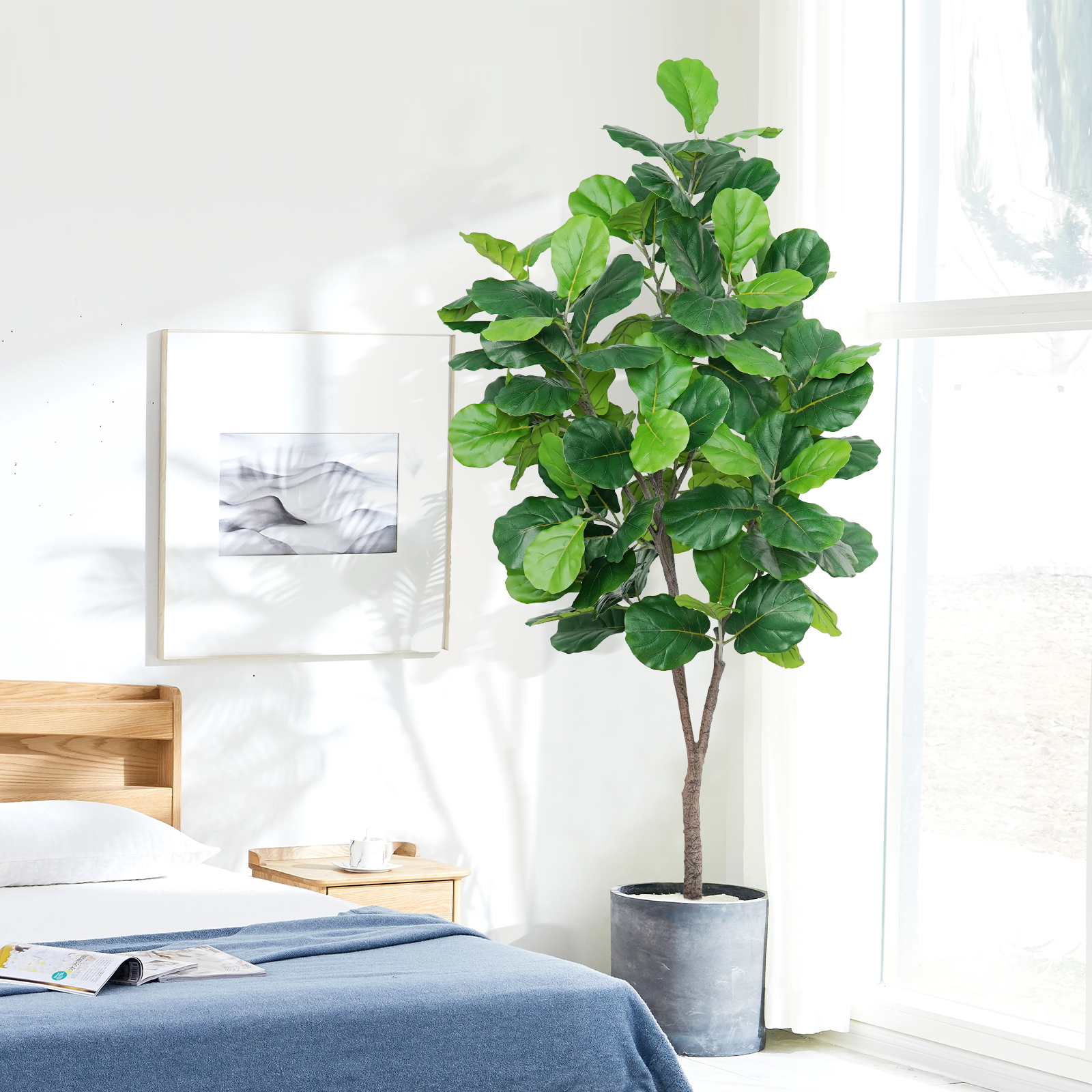 FIDDLE LEAF FIG TREE