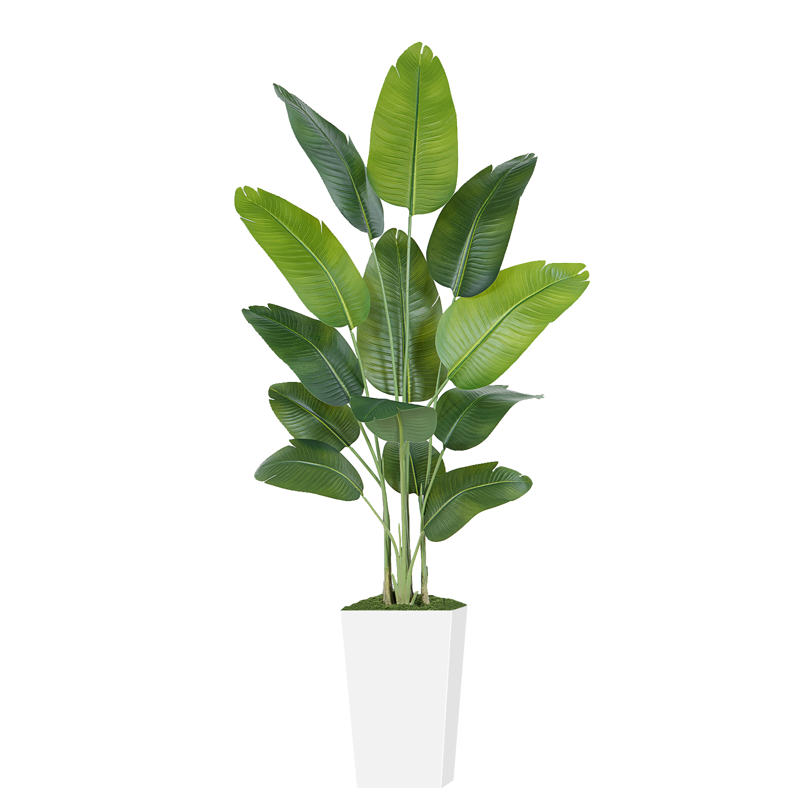 Keeplush Artificial  Faux Banana Leaf Tree with Tall Planter (5ft,6ft,7ft optional) 