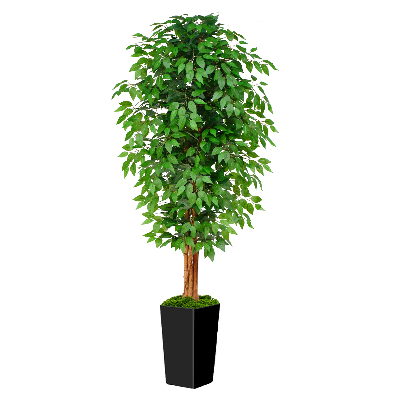 Keeplush Ficus Artificial Tree,Tall Lush Faux TreeKeeplush Artificial  Faux Banana Leaf Tree with Tall Planter (4ft,5ft,6ft,7ft optional White & Black) 