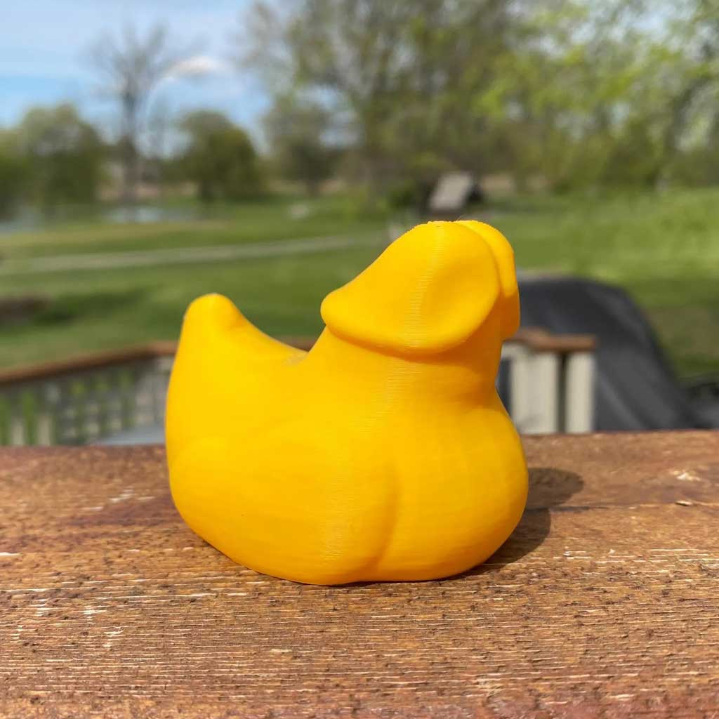 Prank Weenie Duck