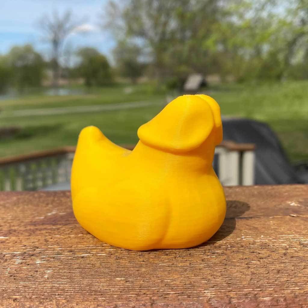 Prank Weenie Duck