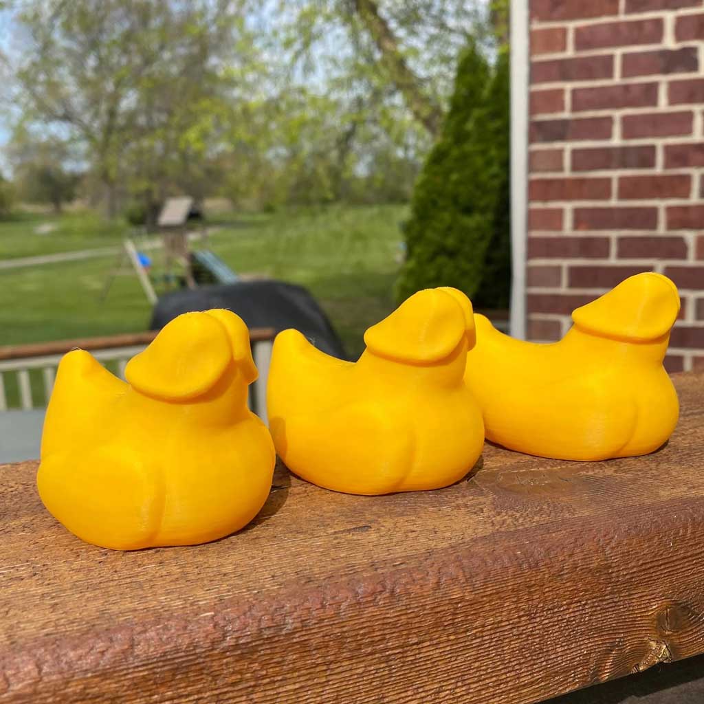 Prank Weenie Duck