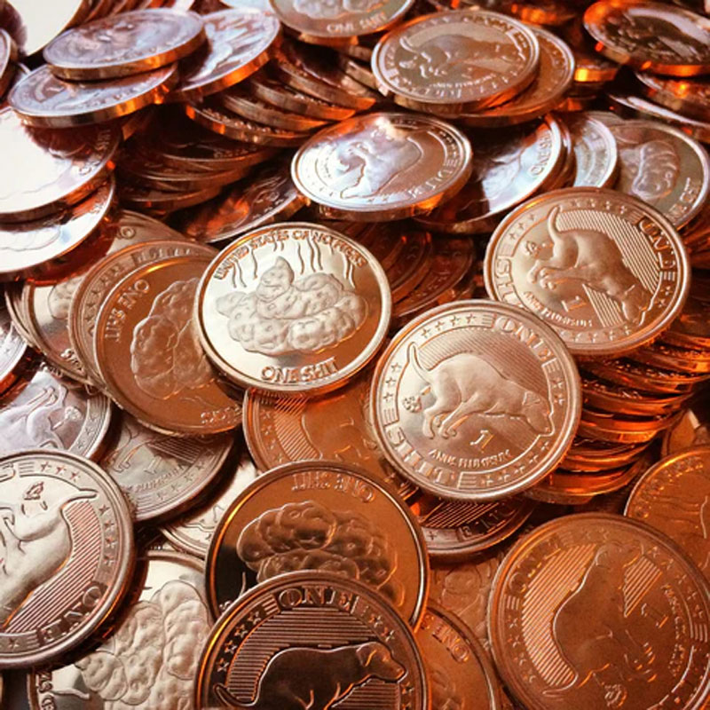 "SH*T" SINGLE COIN
