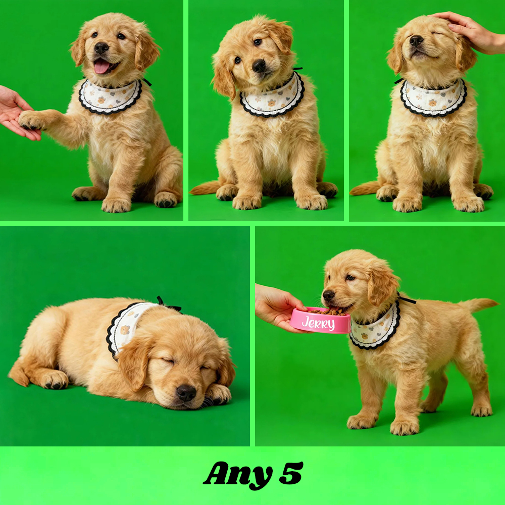 Holographic Digital Sensory Video of Pet (Digital File via Email · 10s/Scene) - MyhawaiianshirtsUK