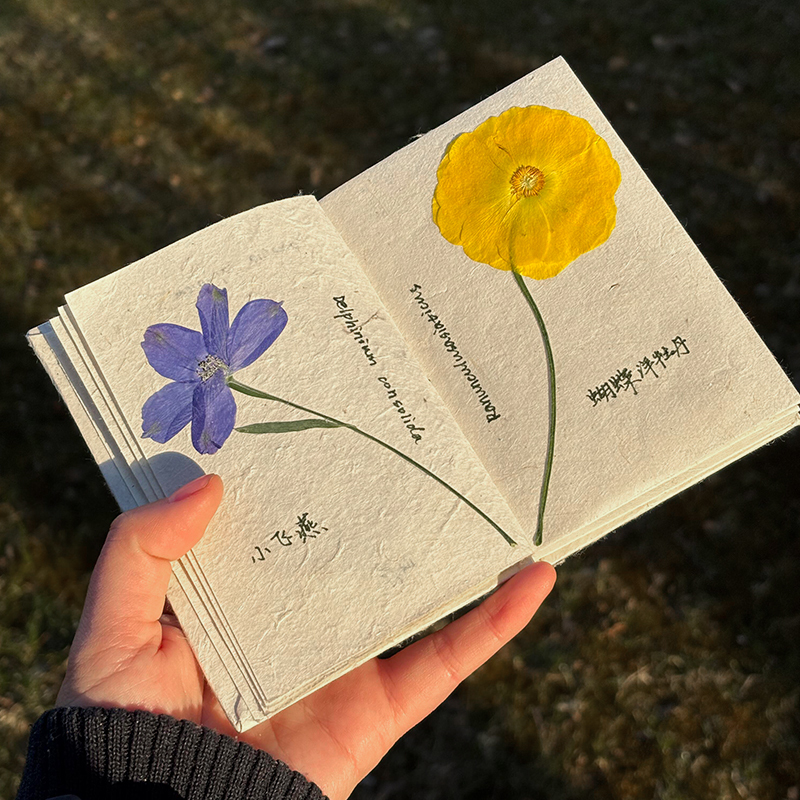 30 Sheets Vintage Botanical Pressed Flower Handmade Journal