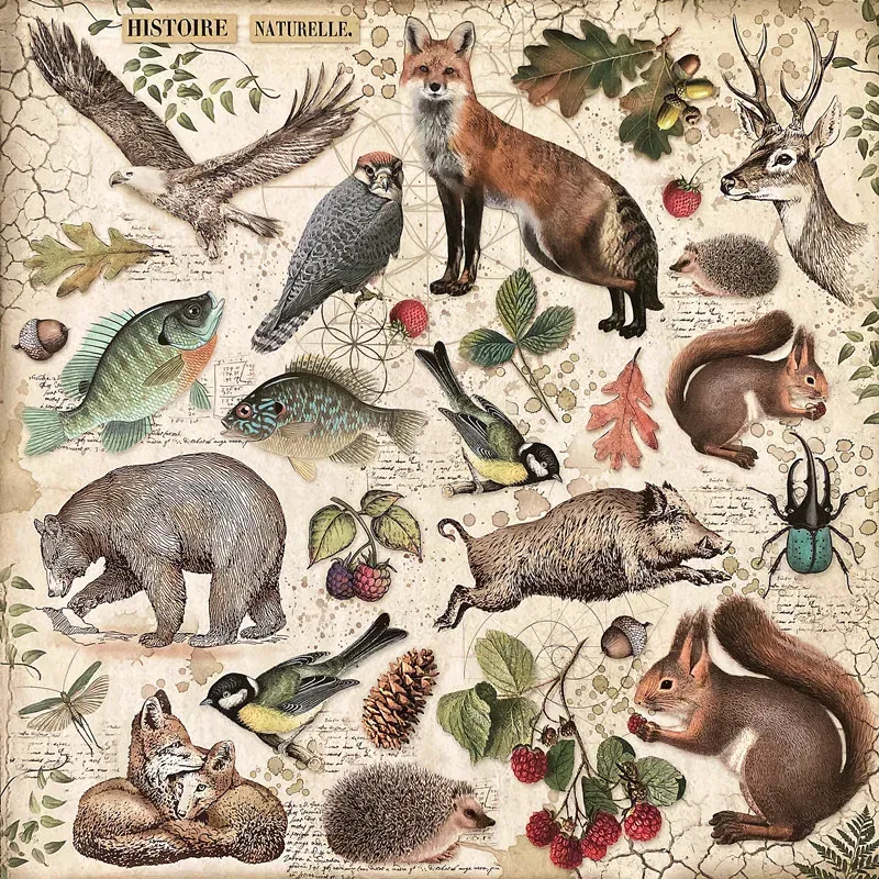 Retro animal adhesive stickers