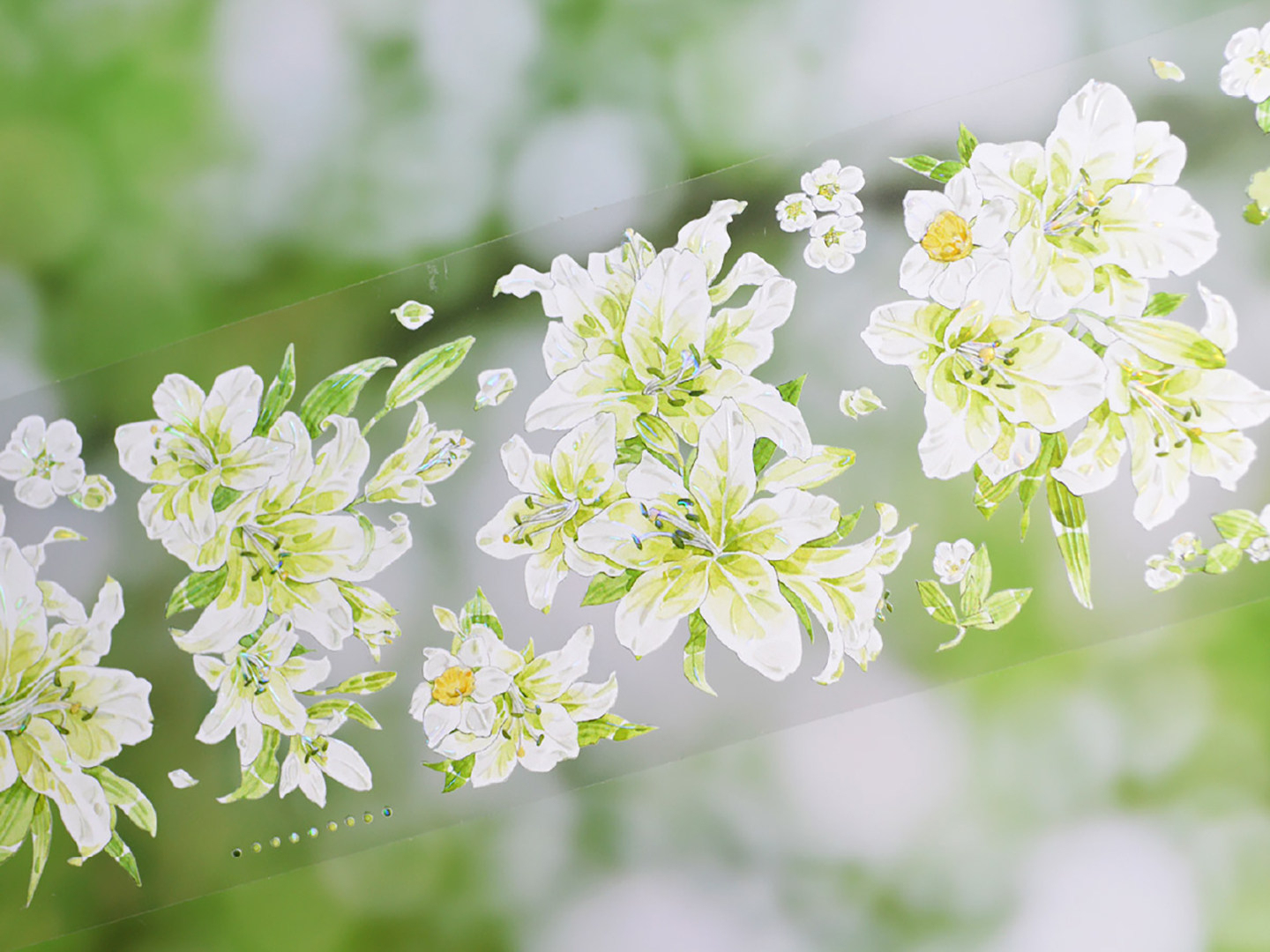OKMT Floral Theme Shell Light PET Tape