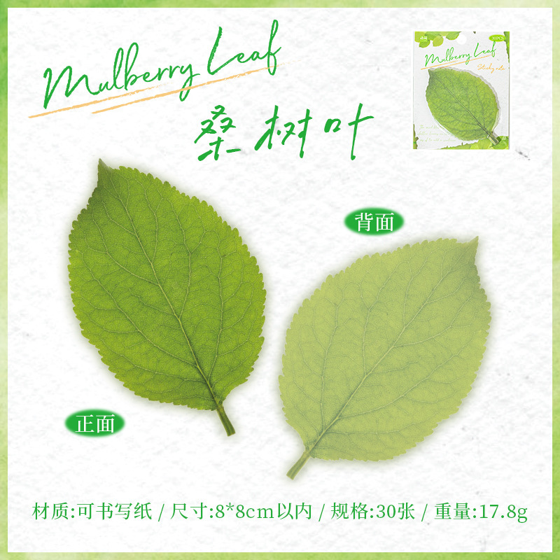 30Pcs/Pack Tropical Leaf Theme Stickers