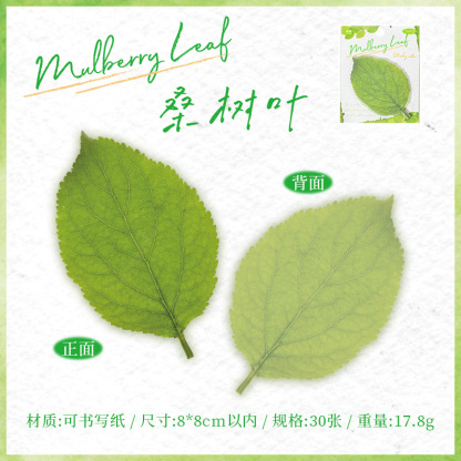 30Pcs/Pack Tropical Leaf Theme Stickers