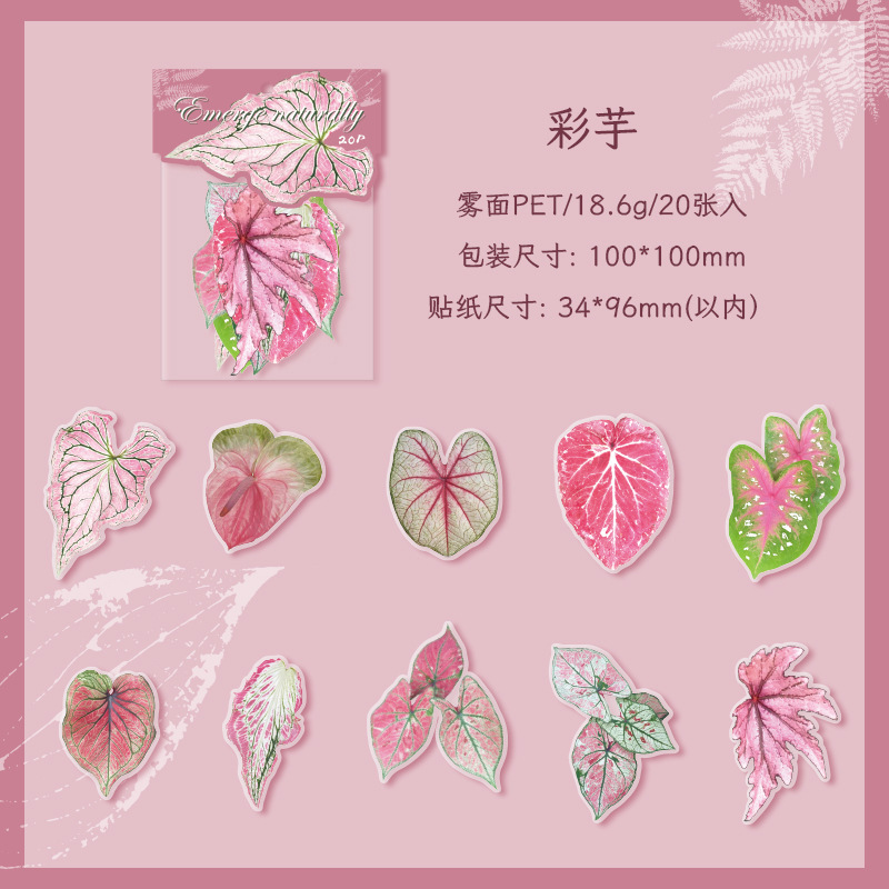 20Pcs/Pack Plant Theme PET Stickers