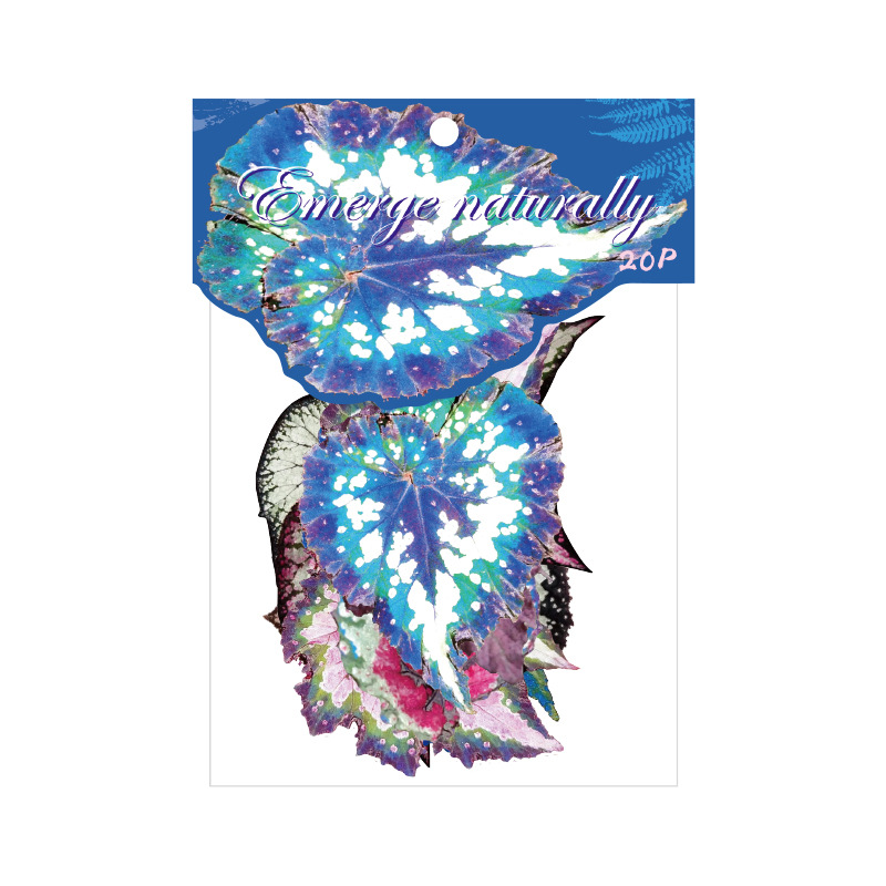 20Pcs/Pack Plant Theme PET Stickers