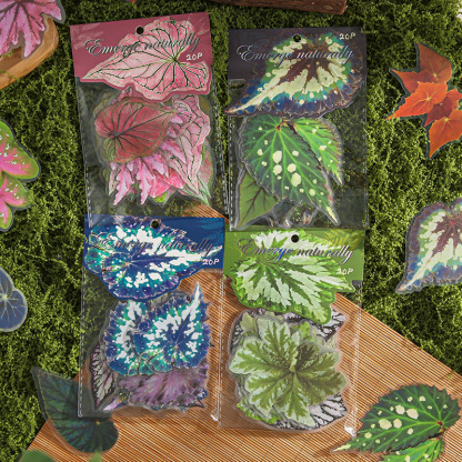 20Pcs/Pack Plant Theme PET Stickers