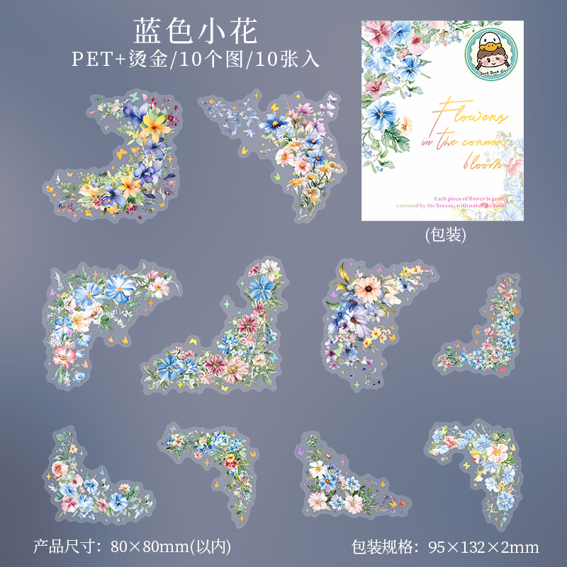 Window Landscape PET Die Cut Tape 2.76*78.74 inches