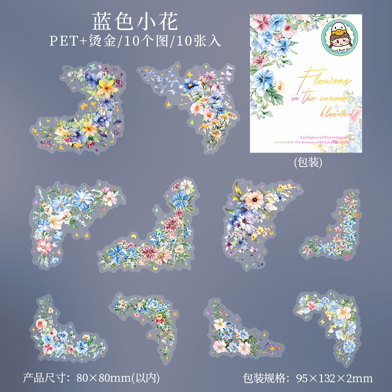 Window Landscape PET Die Cut Tape 2.76*78.74 inches