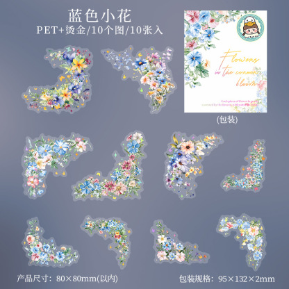 Window Landscape PET Die Cut Tape 2.76*78.74 inches