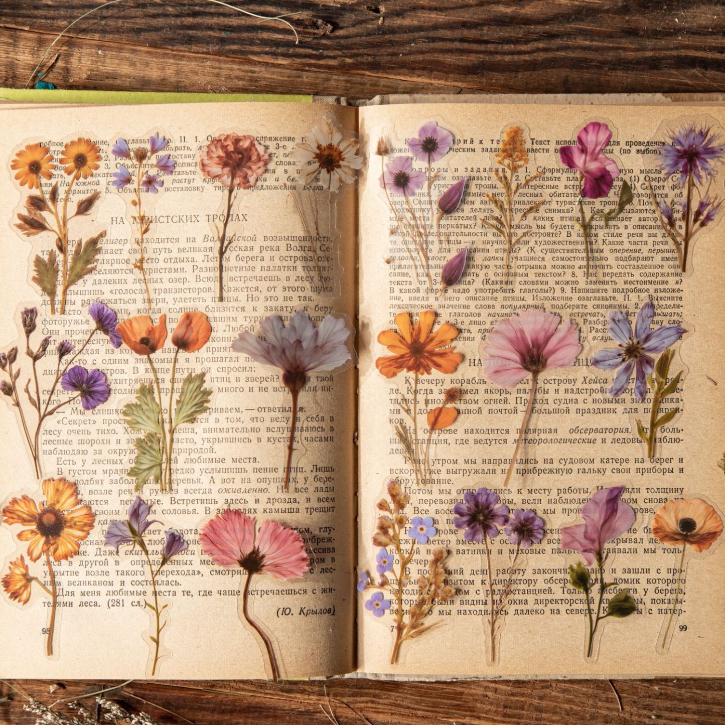 50Pcs/Pack Flower Plant Theme PET Stickers