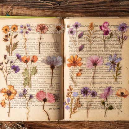 50Pcs/Pack Flower Plant Theme PET Stickers