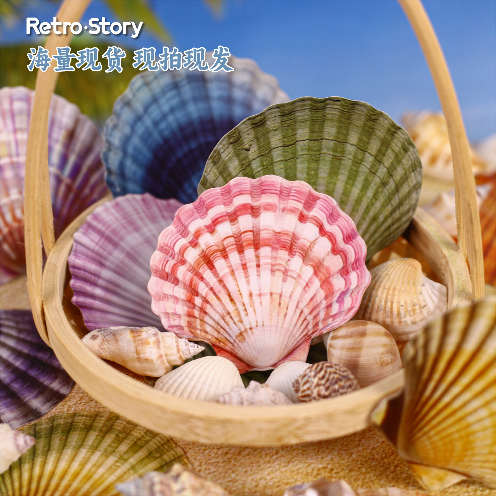 16 Pcs seashell-themed sticker