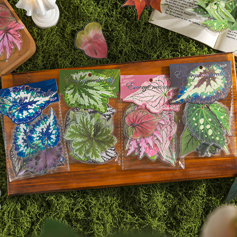 20Pcs/Pack Plant Theme PET Stickers