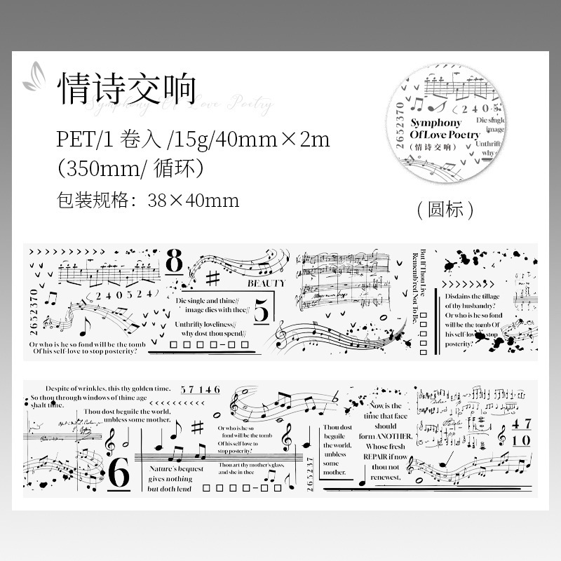 Text Phrase PET Tape 1.57 × 78.74 inche