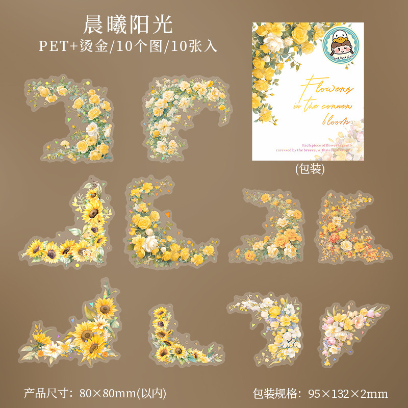 Window Landscape PET Die Cut Tape 2.76*78.74 inches