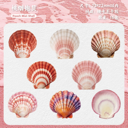 16 Pcs seashell-themed sticker