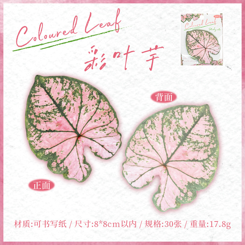 30Pcs/Pack Tropical Leaf Theme Stickers