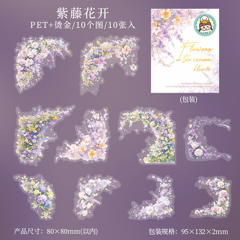 Window Landscape PET Die Cut Tape 2.76*78.74 inches