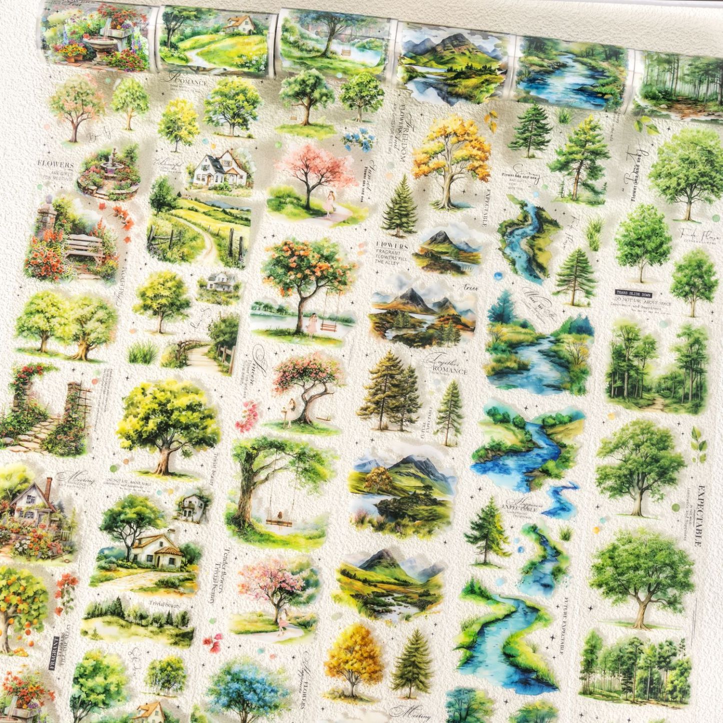 Trees Forest Theme PET Tape 2.56*78.74 inch