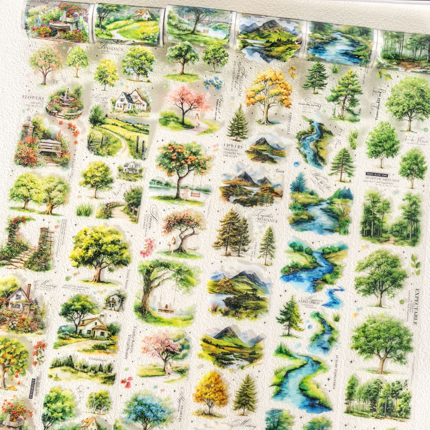 Trees Forest Theme PET Tape 2.56*78.74 inch